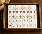 Out West Luxury American Mahjong Set – Artist Edition Pre Order - Bella Blossom Boutique